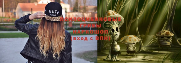 ПСИЛОЦИБИНОВЫЕ ГРИБЫ Алексеевка