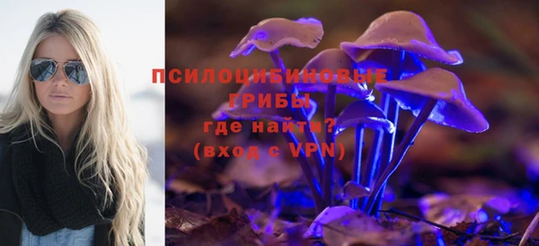 метадон Алексин