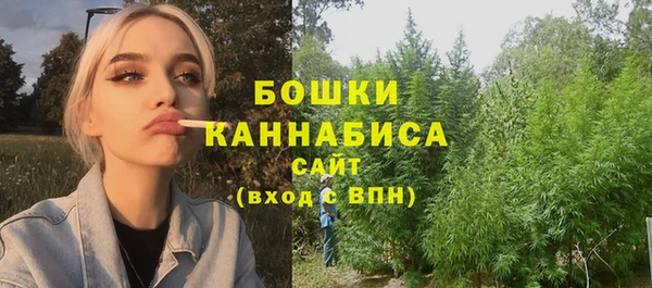ПСИЛОЦИБИНОВЫЕ ГРИБЫ Алексеевка
