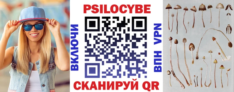 дарк нет клад Калач-на-Дону Псилоцибиновые грибы Psilocybe купить цена
